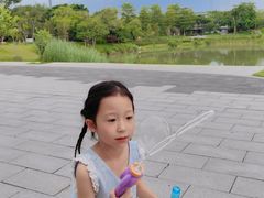 -王借岗森林公园