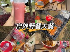-贡湖湾湿地公园