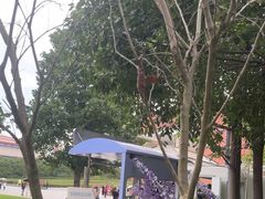 -云南省博物馆