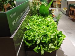-九孔·筒骨莲藕汤锅(大明宫万达店)