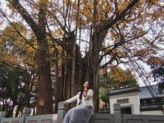 -野蔓果·山野菜(西湖景区·龙井茶田店)