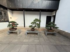 -绮园景区