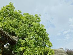 -张学良旧居陈列馆