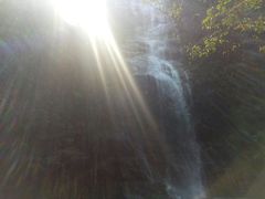 -九龙江国家森林公园