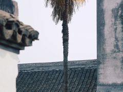 -莫氏庄园