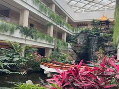 -广州白天鹅宾馆