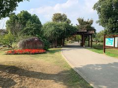 -鹅湖玫瑰文化园