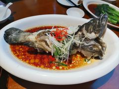 清蒸石斑鱼-泮金大塘(北二七路店)