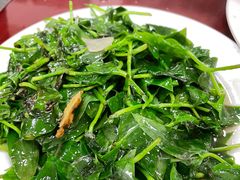 炒野菜-荣生萝卜汤饭店