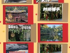 -西双版纳原始森林公园