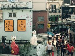 -猫咪博物馆(顶澳仔猫街店)