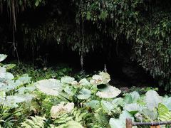 -海口火山口国家地质公园