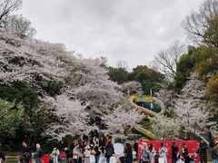 -杭州少年儿童公园