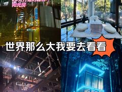 -四明山国家森林公园