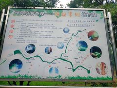 -洈水景区