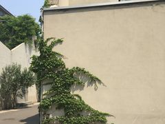 -中国艺术研究院油画院