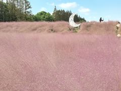 -嘉北郊野公园