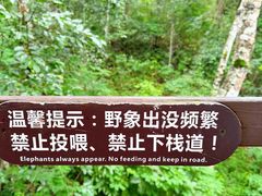 -野象谷景区