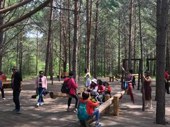 -北极村旅游风景区