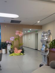 -上海伊莱美医疗美容医院
