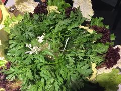 -珺小七铜锅涮肉(桃园路店)