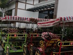 -桤木河湿地公园