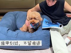 -红星美凯龙(苏州全球家居1号店)