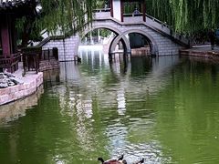 -团结湖公园