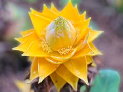 -华南国家植物园-售票处