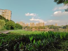 -棕榈MALL