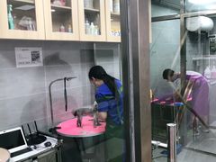 -宠福鑫康馨动物医院·骨科·眼科