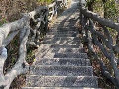 -梧桐山风景名胜区