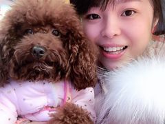 -小象猛犸(炫地购物中心店)