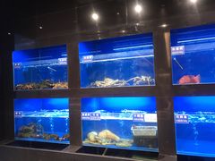 -金时代顺风大酒店(临港百联店)