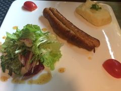 -百好乐宠物友好餐厅(朝外大街店)