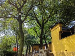 -灵岩山风景区