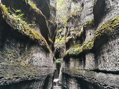 -梭布垭石林景区