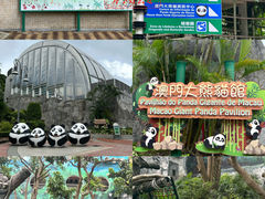 -石排湾郊野公园