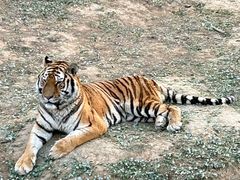 -石家庄市动物园