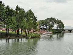 -贡湖湾湿地公园
