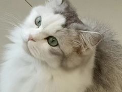 -怪兽屋·羊驼·猫咖·狗咖(俊华广场店)