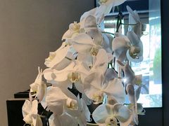 -浩运·海鲜青岛菜·海胆水饺(石老人店)