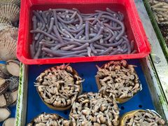 -南沙十九涌渔人码头-南门