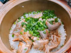 -红星光发煲仔饭(大石街店)