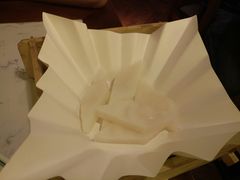 -大榕树下顺德菜(融创茂店)