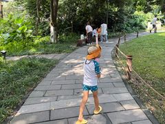 -成都市活水公园