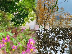 -羚羊峡古栈道森林公园