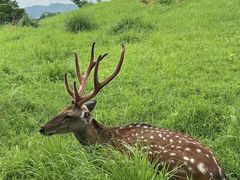 -良渚古城遗址公园