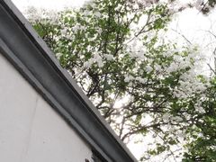 -北京鲁迅博物馆(北京新文化运动纪念馆鲁博馆区)