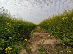 -光明小镇欢乐田园